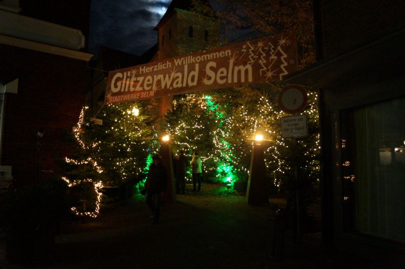 glitzerwald-Selm
